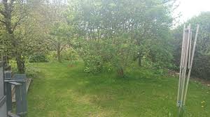 Image result for site:byggahus.se Algomin