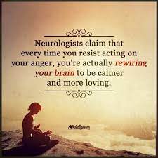 Neurologists Claim That Intelligence Quotes Emotional Intelligence Quotes Quotes