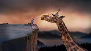 We did not find results for: 2 000 Kostenlose Giraffe Und Tier Bilder