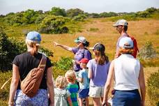 Families in Nature Program — Linda Loring Nature...