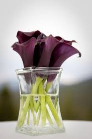 Buy handmade wedding bouquets and get the best deals at the lowest prices on ebay! 28 Flower Ideas Flower Arrangements Flowers Planting Flowers