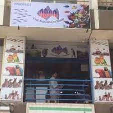Recommended sitters on petbacker are being reviewed by the community. Top Pet Shops For Birds In Shah Alam Best Bird Shops Ahmedabad Justdial