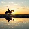 Travel east to go tent camping and horseback riding in the. 1