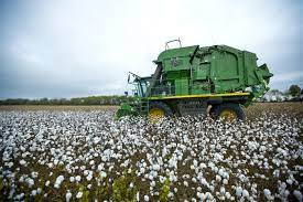 Mar 27, 2021 · how much do cotton farmers make a year. From Field To Fabric How Cotton Is Grown Farm Flavor