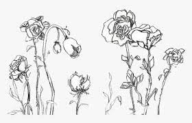 Check spelling or type a new query. Drawing Flower Transparent Tumblr Aesthetic Flower Drawing Png Png Download Kindpng