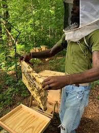 Meet William Crumpler, II