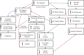 A position statement of the european society of cardiology working group on myocardial and pericardial diseases. Evaluation And Management Of Right Sided Heart Failure A Scientific Statement From The American Heart Association Circulation