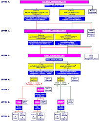 organizational structure national longhouse