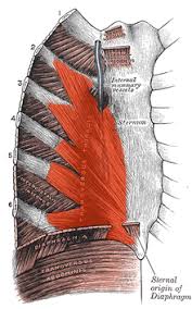 Pin On Chronic Pain Strategies