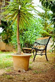 Mediterraner Garten Marchenhafte Atmosphare Schaffen Archzine Net In 2020 Mediterraner Garten Mediterrane Gartengestaltung Garten
