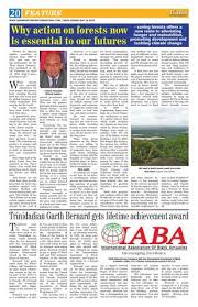 Caribbean Times International by Gytimes