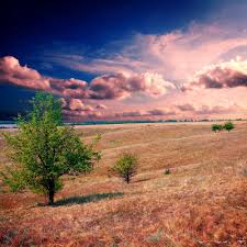 Top 6 ways to make money on your land investment#1. Business Ideas For Vacant Land How To Create Income Producing Assets Land Century