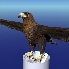 3d Model Golden Eagle Golden Eagle Eagle 3d Model