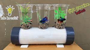 Aquarium ikan cupang akrilik acrylic betta fish aquarium akrilik unik aquarium unik betta tank shopee indonesia from cf.shopee.co.id. Aquarium Cupang Unik Dari Gelas Plastik Dan Pipa Paralon Bekas 3 In 1 Youtube