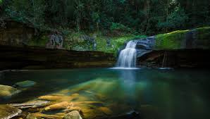 Sommersby falls during the wet season. Somersby Falls Nsw Location Guide Focus