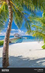 Amazing Scenery Relaxing Beach Tropical Landscape Background Summer Vacation Travel Holiday Desig Vacation Trips Beach Scenery Landscape Background