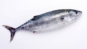 Yang pada insang mereka harus mampu mendifusikan air sembari menjaga kadar garam dalam cairan tubuh secara simultan. 10 Jenis Ikan Yang Umum Dikonsumsi Masyarakat Indonesia Kamu Juga