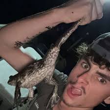 I'm boreeeed 🥹 sending cat 🐱 pics to everyone who likesss btw: not a joke