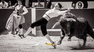 Resultado de imagen de recortador de mejorada del campo Sergio