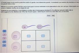 A dihybrid cross describes a mating experiment between two organisms that are identically hybrid for two traits. Homework Help Genetics Two Trait Cross Homework Help Persuasive Essay