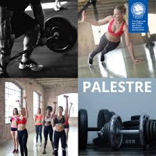 A palaestra was any site of an ancient greek wrestling school. Palestre Edisu