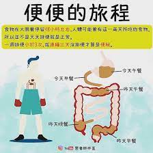 你可以不減肥 但你一定要排毒大腸七八米長 每2 5釐米就有個褶皺藏有宿便每人身體里有5 15斤宿便 體內溫度37攝氏度 如果24小時不排出 就會產生36種毒素 176種疾病 而且72小時會被人體反吸收宿便是人體腸道內一切毒素的根源 一日不排便 勝 instagram posts