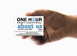 I pay $30 every 3 months and that includes bugs as well as mice and includes treating the inside, outside, and attic of the house. Pest Control Exterminators In New York City Brooklyn And Queens 24 Hour Pest Control In New York City Can Help Rid Your Home Of Bed Bugs Roaches Ants And More Call