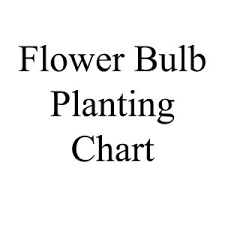 Flower Bulb Planting Chart Debruyn Seed Store