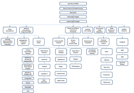 7 organizational chart of portugal u s ministry of health