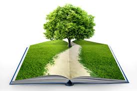 Listado de efemérides y jornadas mundiales relacionadas con el medio ambiente para el nuevo año verde y azul te ofrece un calendario ambiental para 2021 en el que puedes ver, mes a mes, las principales efemérides ecológicas y fechas de los días mundiales dedicados a aspectos concretos del medio ambiente. Pin En Oposiciones