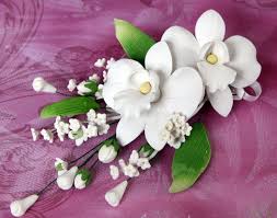 Check spelling or type a new query. Double African Orchid Sprays White Caljavaonline