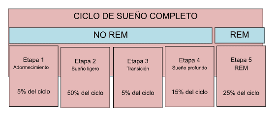 Fases de sueño en bebés - Ducha cena y a dormir