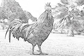 Maybe you would like to learn more about one of these? Realistic Pencil Sketch Action 2 By Mrikhokon Graphicriver