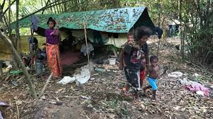 Pengetahuan tradisional berkaitan pemakanan masyarakat orang asli suku kaum. Orang Asli Kuala Koh Guna Mantera Jampi Usir Malapetaka Mynewshub