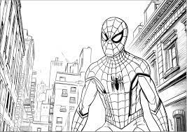 Spiderman à New York - Livres et Comics - Coloriages difficiles pour adultes