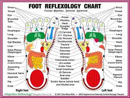 Foot Reflexology Chart Body Diy Diy Ideas Health Remedies