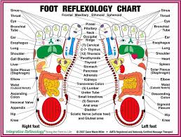 foot reflexology chart body diy diy ideas health remedies