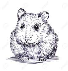 With this free online image optimizer, you can optimize the photos of yourself captured with iphone 6s, iphone 7s, gopro hero4, canon, nikon, sony, olympus, or pictures of the actors. Black And White Engrave Ink Draw Hamster Illustration Stock Photo Picture And Royalty Free Image Image 55370481