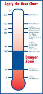 Fda Internal Meat Temperature Chart Need To Print This Out