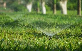 Sprinkler on a Grassy Field · Free Stock Photo