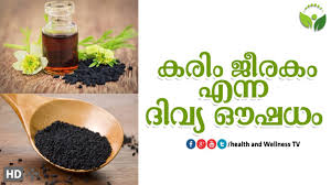 Fennel seed in hindi is called saunf or sonp. What Is Black Cumin Seeds In Malayalam My Blog