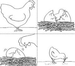 Sequencing Sequencing Cards Story Sequencing Sequencing Pictures