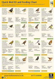 House And Garden Feed Chart Garden House And Feeding