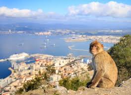 (there are 14 british overseas territories in the world including bermuda and the falkland islands.) How To Travel From Malaga To Gibraltar