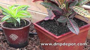 The oasis plant watering system is a great example of this type of drip system. How To Setup A Drip Irrigation System For Containers Potted Plants Youtube