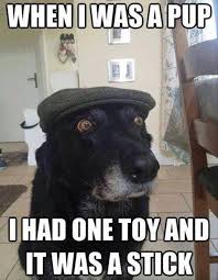 Adulting When I Was Young Funny Dog Memes Funny Dogs Silly Animals