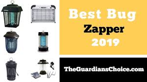 Pin On Guardianschoice Camping Tips Tricks