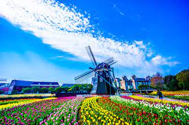 長崎旅行記 ハウステンボス編その1 フラワーロードやアムステルダムシティなど 旅行 長崎 ハウステンボス 長崎 旅行