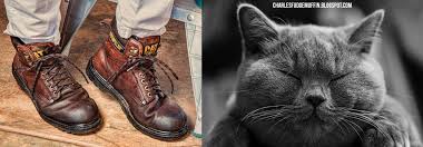 They have very high durability and are relatively resistant to chipping. 10 Words And Phrases Which Sound Like Other Words In A Different Accent Charles Fudgemuffin