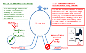 Image result for ACE Inhibitor